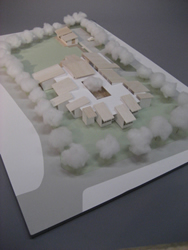 INTERACTIONAL SPACE —都心部低層住宅地におけるハイブリッド型住宅の提案—