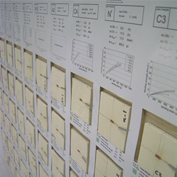 INTERACTIONAL SPACE —都心部低層住宅地におけるハイブリッド型住宅の提案—