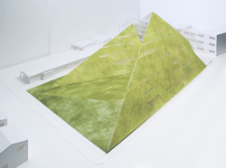 INTERACTIONAL SPACE —都心部低層住宅地におけるハイブリッド型住宅の提案—