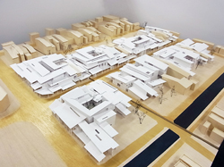 都市の回廊空間による連担性と空間特性　- 新潟県高田地区における雁木空間を用いた複合住居の設計提案 -