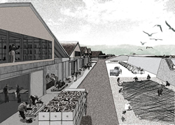 谷川浜復興計下記　- 農村漁業の融合による漁村集落の地域再生モデル -
