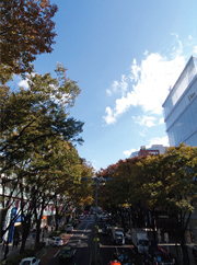 街歩き：東京「渋谷探索トレッキング」